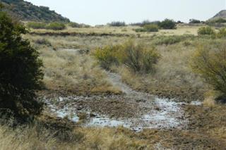  Bedroom Property for Sale in Fauresmith Rural Free State